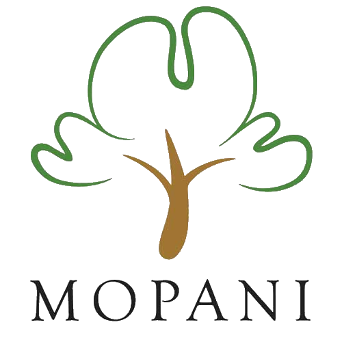 Mopani Copper Mines
